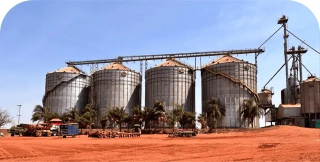 Projeto de biochar de cana-de-açúcar da NetZero com a Brunozzi
