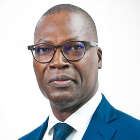 Wilfrid Lauriano do Rego is a board member of NetZero. He is Chair of KPMG France Supervisory Board and Head of the Presidential Council for Africa, an advisory body to the President of France.